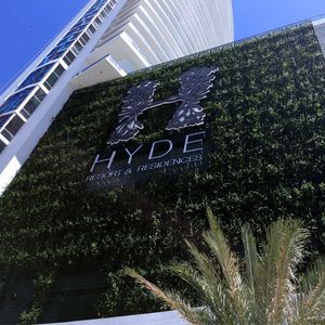 green wall with live plants