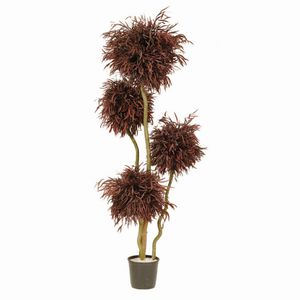 preserved ornamental plant