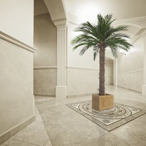 preserved ornamental-plant / palms