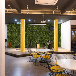 preserved green wall