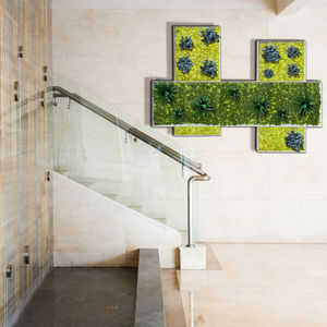 preserved living frame