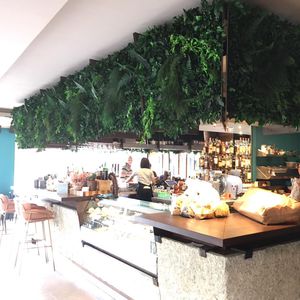 preserved green wall