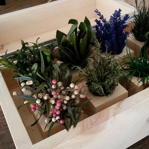 small plants ornamental-plant