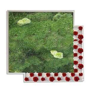 preserved living frame