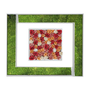 preserved living frame