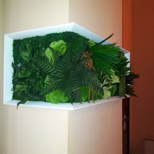preserved living frame