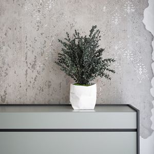 preserved ornamental-plant