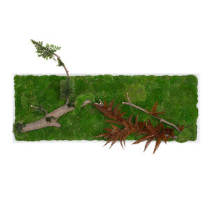 preserved living frame