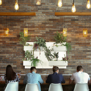preserved green wall
