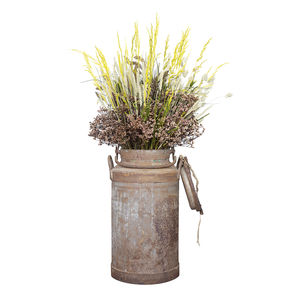 preserved ornamental plant