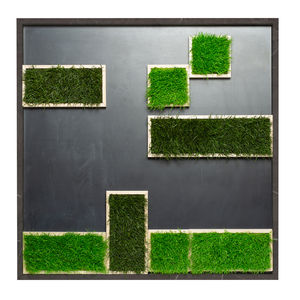 preserved living frame
