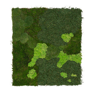 preserved green wall