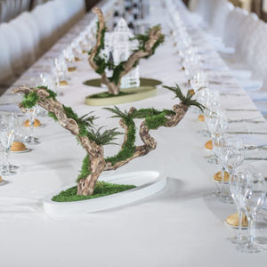 preserved ornamental plant