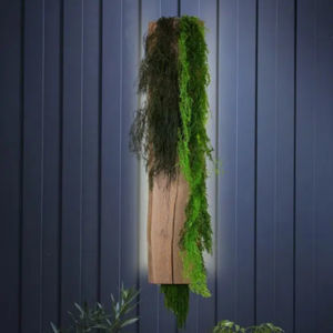 hanging lamp