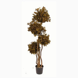 preserved ornamental plant