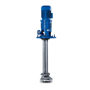 cast iron pump