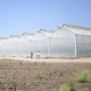 commercial greenhouse