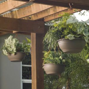 plastic plant pot