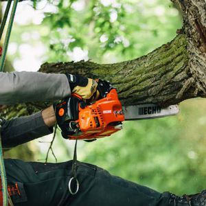 pole saw