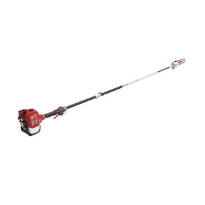 pole pole saw