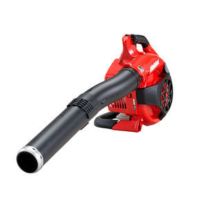 walk-behind leaf blower