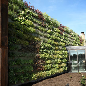 vertical garden with live plants