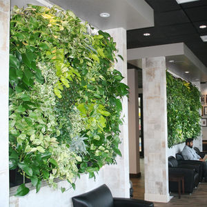 green wall with live plants