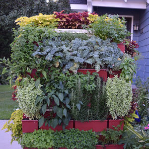 Vertical garden with live plants - COLORFUL - LiveWall - natural / outdoor