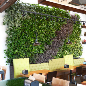 green wall with live plants 1