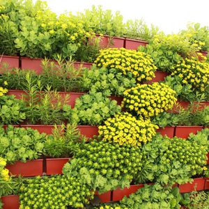 vertical garden with live plants
