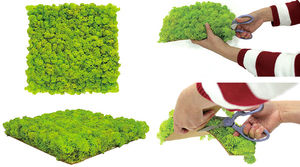 preserved green wall / modular-panel / custom / moss