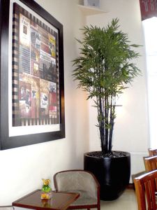 fiberglass garden pot