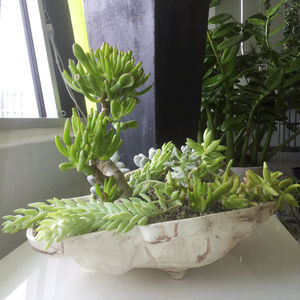 fiberglass flower pot