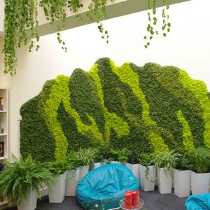 preserved living frame / moss / indoor
