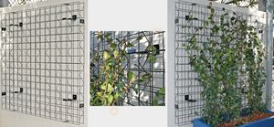 foliage green wall