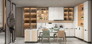 contemporary kitchen