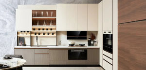 contemporary kitchen