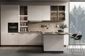 contemporary kitchen
