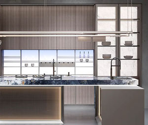 contemporary kitchen