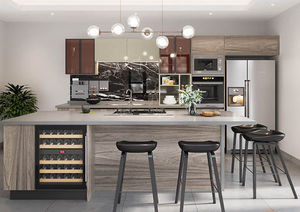 contemporary kitchen