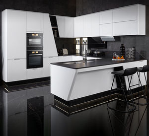contemporary kitchen