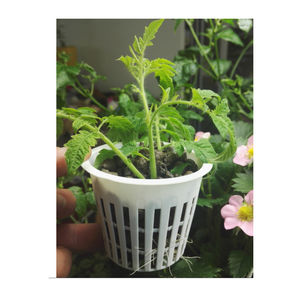 plastic flower pot
