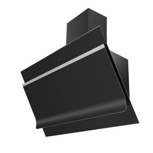 wall-mounted range hood