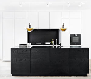 contemporary kitchen 1