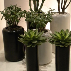 contemporary vase