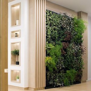 preserved green wall 1