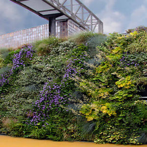 preserved green wall 1