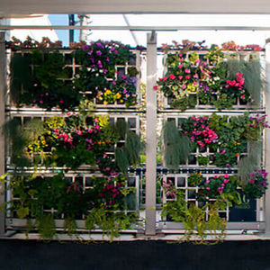 preserved green wall