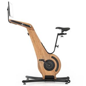 magnetic excercise bike