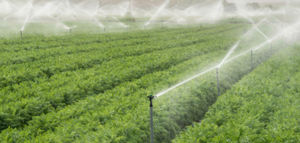 rotating sprinkler